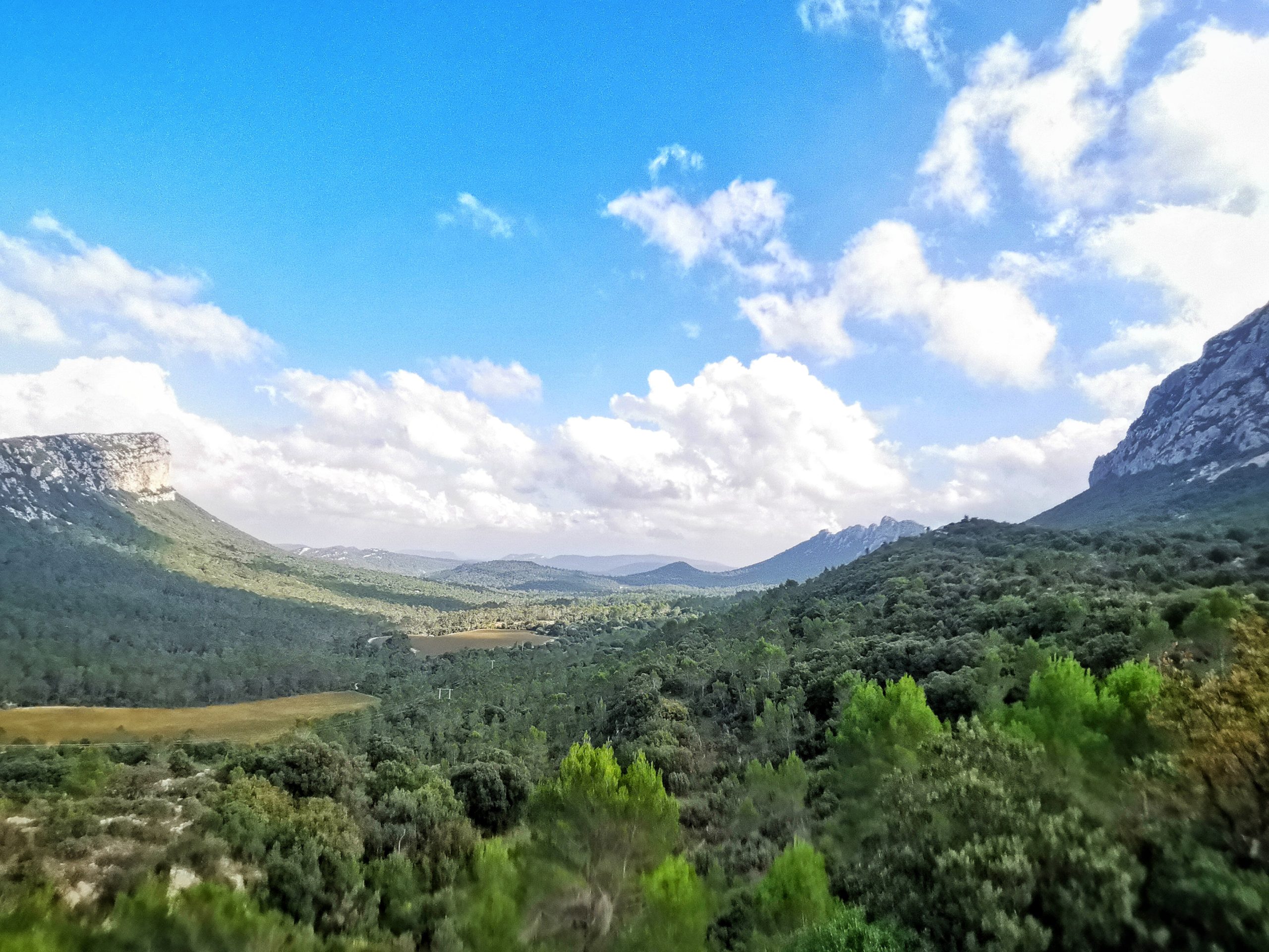 L'Hortus (512m) à gauche, le Pic Saint Loup (658m) à droite. Photo prise du col de Fambetou.